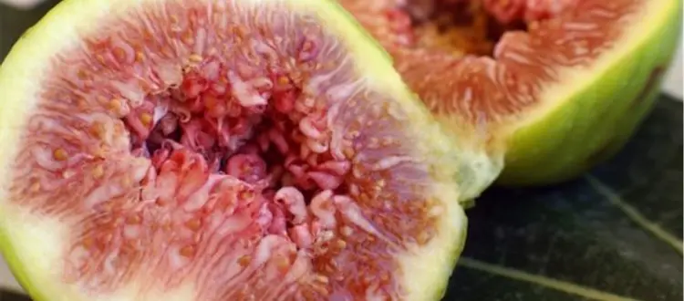 ALIMENTI DEL MESE DI SETTEMBRE