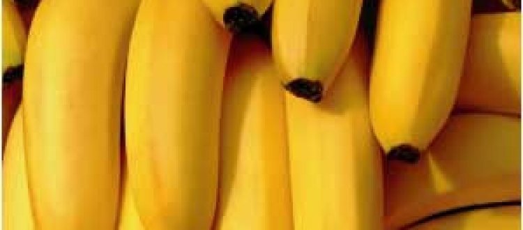 ALIMENTI DEL MESE DI GENNAIO