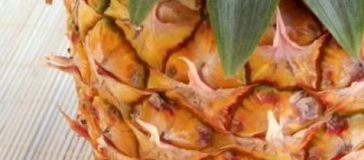 ALIMENTI DEL MESE DI MARZO