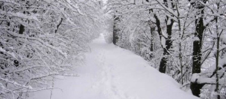 Consigli utili per difendersi dal grande freddo di questi giorni