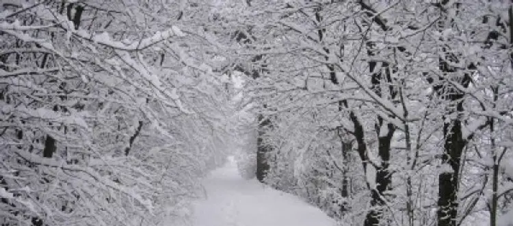 Consigli utili per difendersi dal grande freddo di questi giorni
