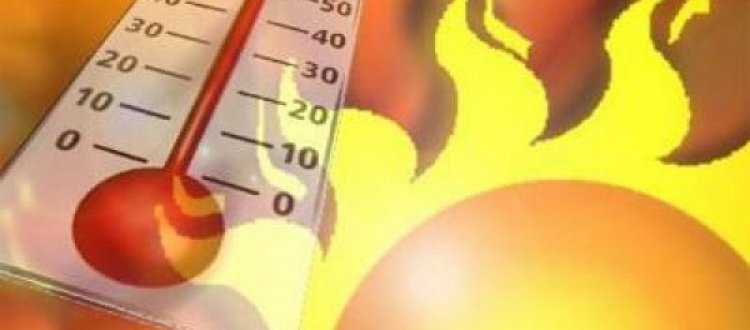 AI FREQUENTATORE DEL SITO DEL POLIAMBULATORIO: CONSIGLI UTILI PER DIFENDERSI DAL CALDO