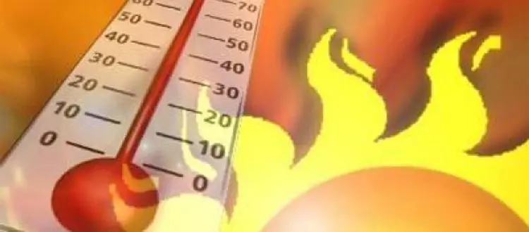 AI FREQUENTATORE DEL SITO DEL POLIAMBULATORIO: CONSIGLI UTILI PER DIFENDERSI DAL CALDO