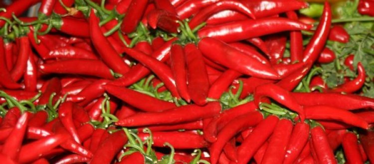 VIZI E VIRTU' DEL PEPERONCINO: FIGLIO DI DIO O EREDE DEL DIAVOLO?