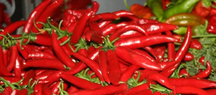 VIZI E VIRTU' DEL PEPERONCINO: FIGLIO DI DIO O EREDE DEL DIAVOLO?