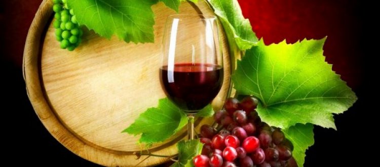 IL VINO - INFORMAZIONE SUI COMPONENTI E SUGLI EFFETTI