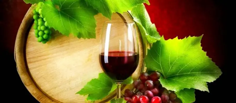 IL VINO - INFORMAZIONE SUI COMPONENTI E SUGLI EFFETTI
