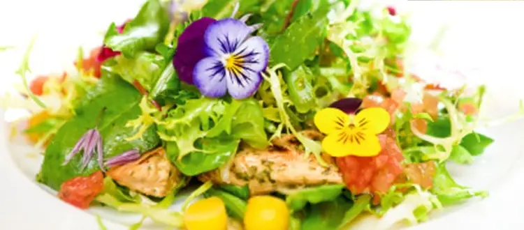 Della frutta, verdura e legumi da mettere in tavola nel mese di Giugno e di qualche altra curiosità, di questo tratteremo nella Rubrica di Venerdì 9 Giugno.
