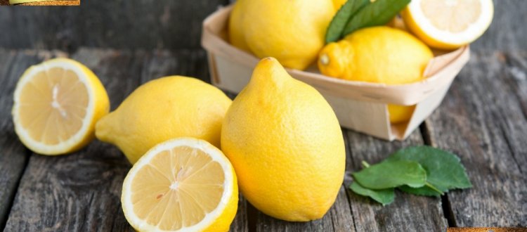 Il limone, bello da vedere, agro da gustare, ma con tante proprietà salutari