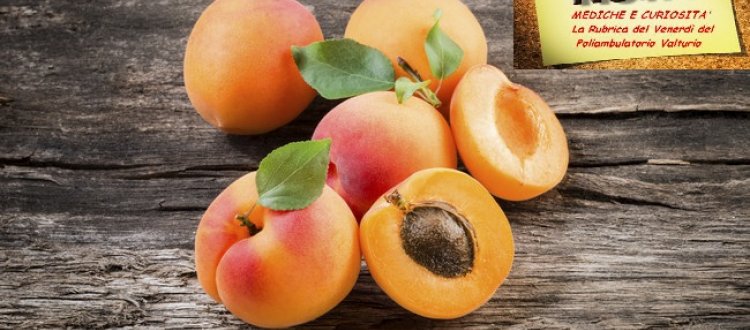 E' il mese delle albicocche, belle, gialle, salutari, delle loro proprietà e di qualche altra curiosità
