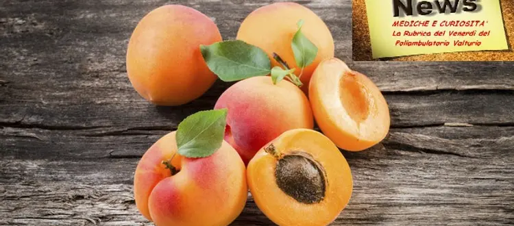 E' il mese delle albicocche, belle, gialle, salutari, delle loro proprietà e di qualche altra curiosità