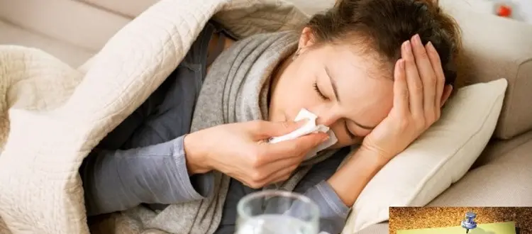 Di come comportarsi quando arriverà (e state sicuri che arriverà) il virus dell'influenza e di altre curiosità