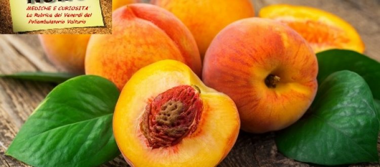 Delle proprietà salutari delle pesche, e di qualche altra curiosità