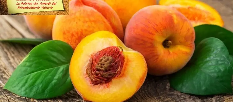 Delle proprietà salutari delle pesche, e di qualche altra curiosità