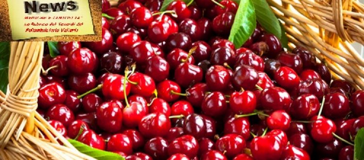 Della frutta e verdura che ci delizierà in questo fine maggio