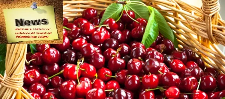 Della frutta e verdura che ci delizierà in questo fine maggio