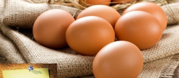 Della rivalutazione del valore nutritivo dell'uovo e altre curiosità