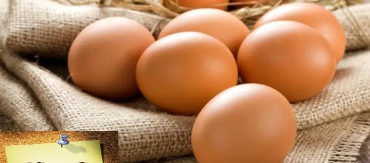 Della rivalutazione del valore nutritivo dell'uovo e altre curiosità