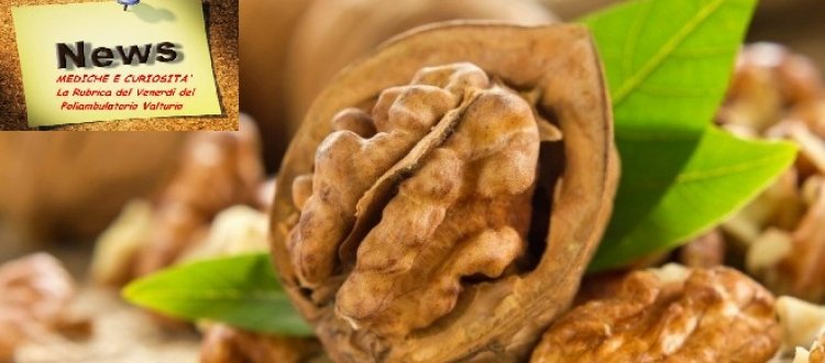 La frutta secca, in particolare le noci, sono fonte di salute