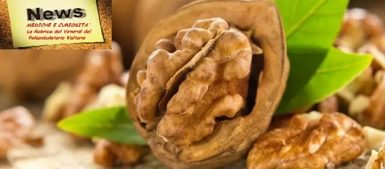 La frutta secca, in particolare le noci, sono fonte di salute