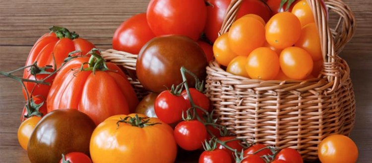 Delle proprietà salutari del pomodoro e di qualche altra curiosità, di questo tratteremo nella Rubrica di Venerdì 18 Agosto.