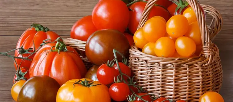 Delle virtù salutari del pomodoro e di qualche altra curiosità, di questo tratteremo nella Rubrica di Venerdì 1 Giugno.