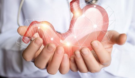 Gastroenterologia